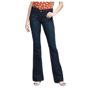 Judy Blue Flare Leg Stretch Jeans